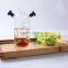 China Supplier Heat Resistant Home Decoration Cooking Glass Oil and Vinegar Bottle,2 in 1 Kitchenware Glass Olive Oil Dispenser