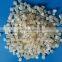 100%biodegradable And Compostable Raw Material for Casting Film