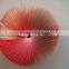 3d promotional fruit shape memo pad