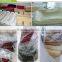 Modern White Round 6 Feet Table cloth