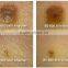 Top quality face skin test portable skin scanner 7200K Visible Light Color