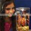 My Fun Fish Plastic Fish Tank Wholesale Portable Aquarium Tank Fish