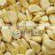 FX-128-2 The large type automatic garlic peeling machine,garlic skin removing machine,commercial garlic peeler