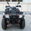 new design reasonable price 300cc powerful racing quad ATV
