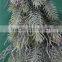 Happy Christmas 130cm height fake Christmas tree with pot