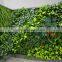 Self-designed Big Artificial Green Wall Ornamental Plant Wall Decoration LGH15-07
