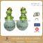 6.5 Inch Resin Outdoor Garden Decoration Animal Sculpture Pair Frog Statues