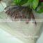 Hot sell 2017 IQF surimi