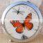Double-sided Folding/Compact/Pocket/Make Up/Purse/Cosmetic Mirror- Butterfly