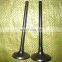 High quality Black nitrided intake and exhaust valves