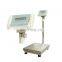DW-L Floor type 300kg weighing scale