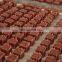 Dog Meat Dice Treat Forming Machine Beef Granuales Making Machine