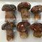 New Crop Wild Porcini Mushroom Frozen Boletus Edulis