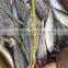 4-6 pcs per kg 20cm up horse mackerel