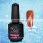 Factory Oem Soak off Nails Art Gel Polish Cat Eye Color Gel Nail Polish