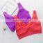 Women Hot Sale Crop Top Seamless Bra Underwear With Padded Cup