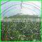 Suntex virgin HDPE anti-insect mesh netting for cultivation of flowers