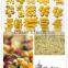 chinese full automatic industrial pasta machine