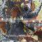 fashion design digital printing organza fabric