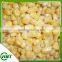 High Quality Sweet Corn Kernel