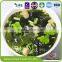 High Quality Japanese Sushi Dry Cutted Wakame Seaweed