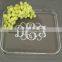 Acrylic Clear Serving Tray,Custom Design Acrylic Trays Food