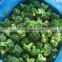 with kosher HAHAL certificate frozen broccoli price