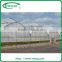 Multi-Span tropical Greenhouse frame for sale
