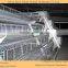 poultry farm automatic drinking system feeding system for 10000 chickens