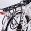 20 inch leisure electric bicycle e-bike for lady (Model LEB360F)