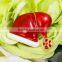 43*30mm Wholesale New Year Gift Jewelry Crystal Lovely Santa Claus Men's Brooch