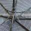 2015 new style color change umbrella manufacturer china OKNV0001-1