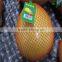 Fresh Pomelo