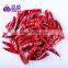 AD Pungent Elongated Dried Red Chili Pepper