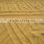 China factory exporter top quality neat and clean hot red chili seeds