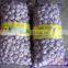 Supply China Fresh Garlic Crop Harvest