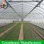 Hot sale easy build greenhouse with cheap price