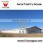 Wincore in South Africa Auto Poultry House Africa Automatic Breeds Of Broiler Chickens