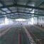 Chicken Poultry Equipment Steel Frame Chicken House for Broiler