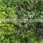 Outdoor use artificial decorative wall grass plants