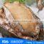 Fresh fresh frozen big abalone whole