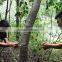 2015 ISPO Awarded New Model Outdoor Survival Gear Steel Chain Saw for Cutting Trees