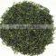 Sen-cha Japanese Green Tea Sencha produced in Kyoto Uji Japan for wholesaler