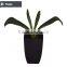 Factory direct sell artificial decorative indoor and outdoor plant tree with pot for decoration use