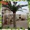 Quality different types of plants and trees customize artificial big palm trees