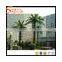 Hot sale plastic cheap Artificial date palm trees and Outdoor&Indoor fake palm trees prices