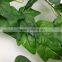 2 Meters Artificial Ivy Garlands Realtouch Vines for Home or Party Decor