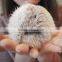 CX-R-49 Genuine Cheap Wholesale Rabbit Fur Pendant Fur Ball Key Chain Key Ring~ MIXED COLOUR