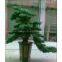 artificial pine tree