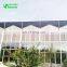 2018 China Solar Hydroponic Greenhouse For Tourism